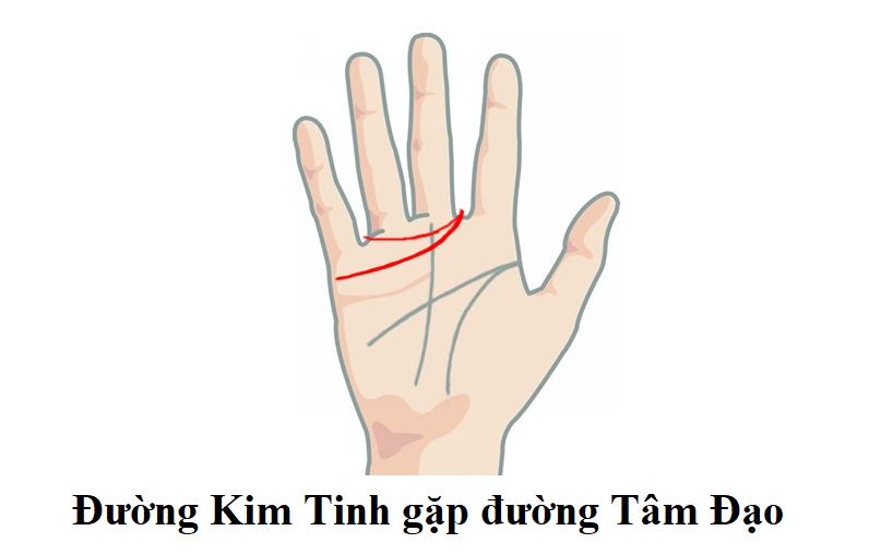 Vòng Kim Tinh có ý nghĩa gì trong nhân tướng học