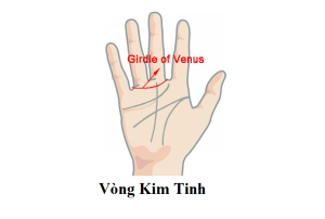 Vòng Kim Tinh có ý nghĩa gì trong nhân tướng học
