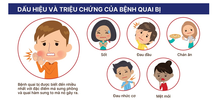 3 bài thuốc chữa vô sinh do biến chứng quai bị