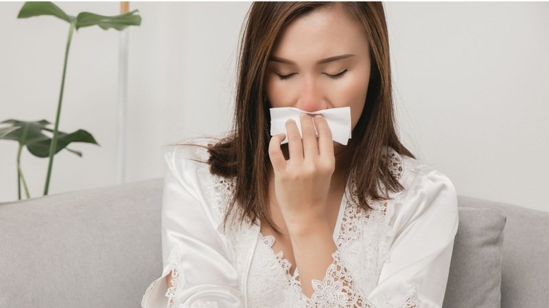 Bài thuốc chữa chảy máu cam