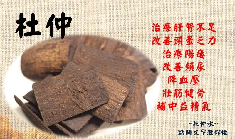 Cây Đỗ Trọng: Vị Thuốc Quý Cho Xương Khớp Từ 1000 Năm Trước