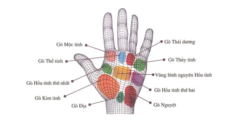 10 gò trong lòng bàn tay và ý nghĩa của nó