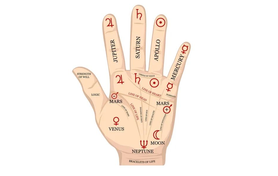 10 gò trong lòng bàn tay và ý nghĩa của nó